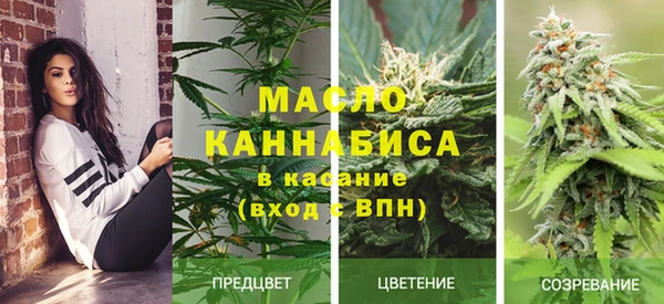 шишки Баксан