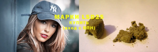 шишки Баксан