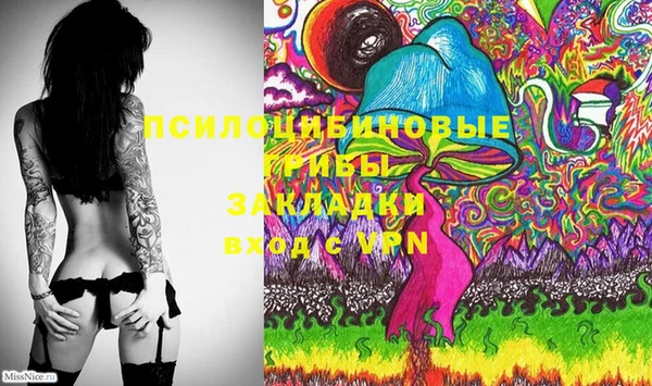 шишки Баксан
