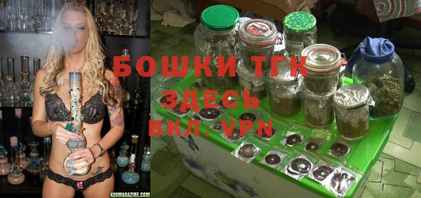 шишки Баксан