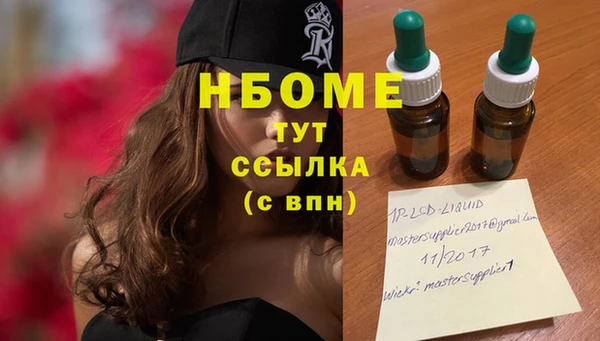 прущая мука Арсеньев