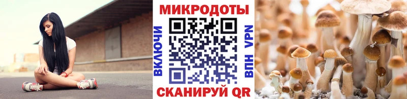 сайты даркнета какой сайт  где найти наркотики  Стародуб  Галлюциногенные грибы GOLDEN TEACHER  блэк спрут рабочий сайт 